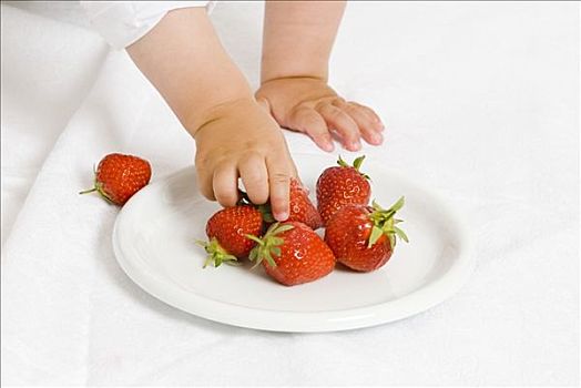 手,新鲜,草莓