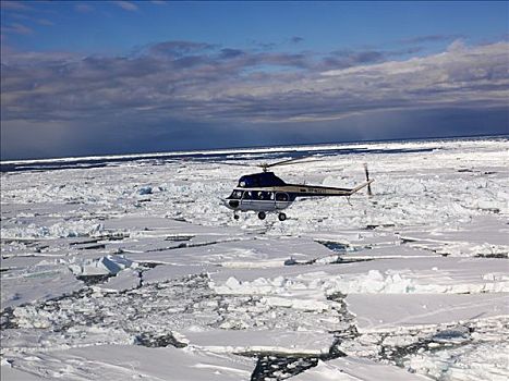 直升飞机,飞,高处,海冰,南极