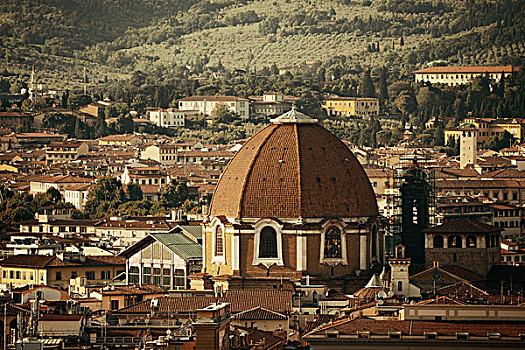 佛罗伦萨,屋顶,风景,小教堂,圆顶,意大利