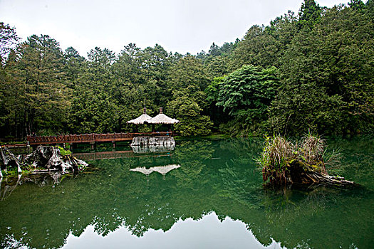 台湾嘉义市阿里山原始森林中的姐妹潭