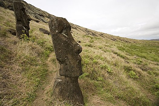 复活节岛石像,拉诺拉拉库,复活节岛,智利