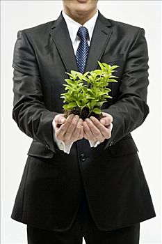 商务人士,植物,手