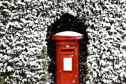 英国,邮箱,围绕,围篱,积雪