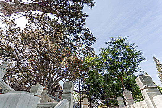 京西古刹戒台寺