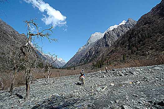 四姑娘山