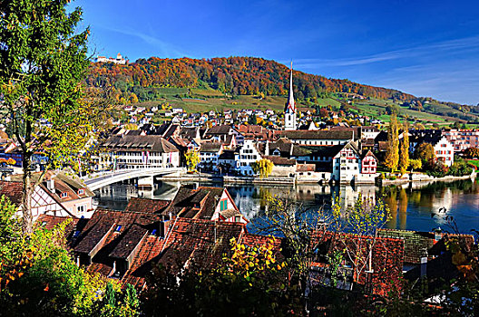 城堡,秋天,莱茵,沙夫豪森,瑞士,欧洲