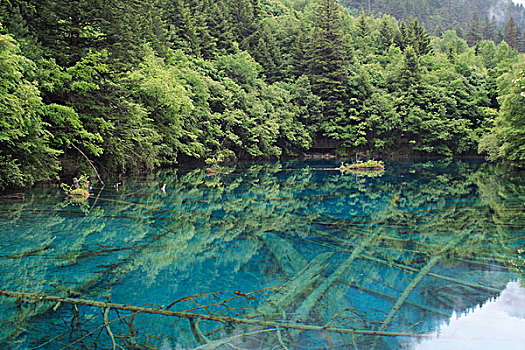 夏天的九寨沟海子