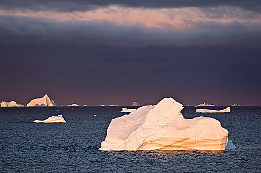 冰山,日出,约克角,西海岸,格陵兰