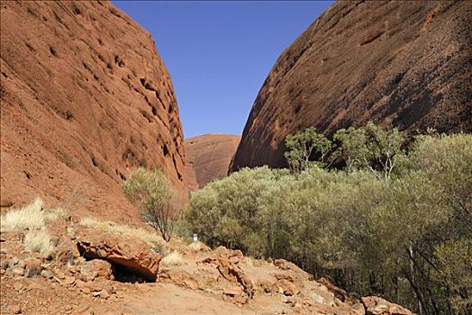 徒步旅行,砂岩,独块巨石,奥尔加,卡塔曲塔国家公园,北领地州,澳大利亚