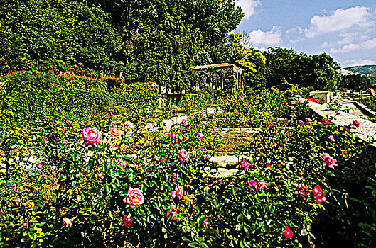 保加利亚,植物园