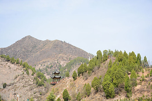 九龙山春日盛景