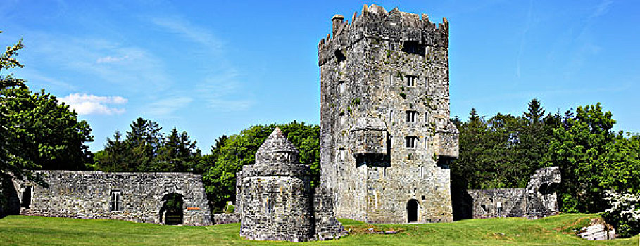 城堡,靠近,戈尔韦郡,爱尔兰