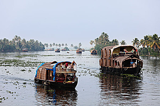 船屋,河,死水,靠近,喀拉拉,印度南部,南亚,亚洲