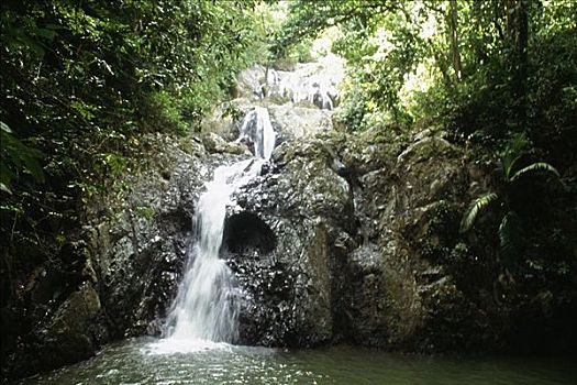 景色,绿色植物,多巴哥岛,加勒比海