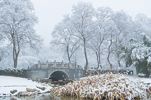 武汉冬日雪景风光