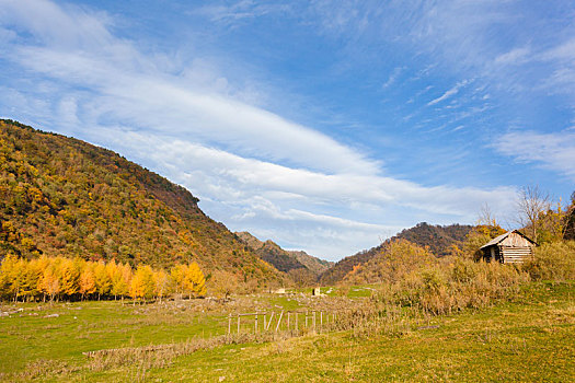 留坝狮子沟牧场