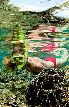 水下呼吸管,珊瑚,礁石