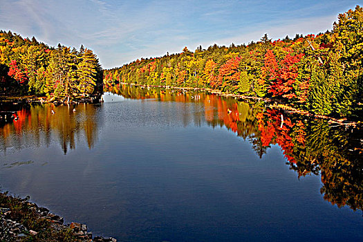 水,反射,湖,阿尔冈金公园,秋天,安大略省,加拿大