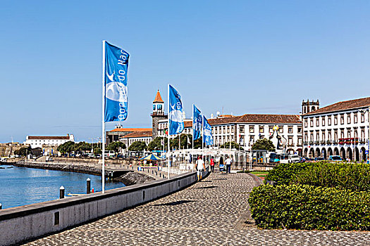 散步场所,码头,港口,岛屿,亚速尔群岛,葡萄牙