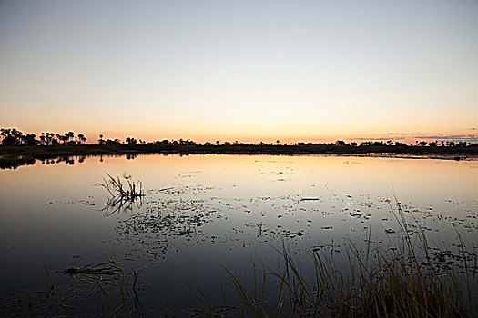 日落,水,奥卡万戈三角洲,博茨瓦纳,非洲
