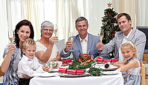 家庭,圣诞晚餐,白葡萄酒