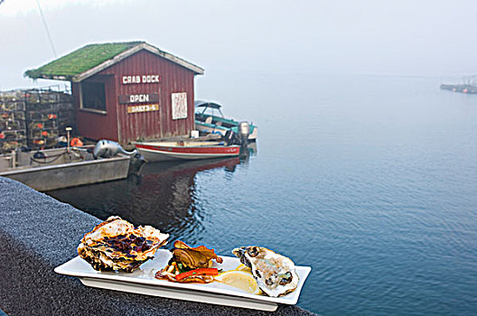 美食,牡蛎,盘子,展示,水岸,温哥华岛,不列颠哥伦比亚省,加拿大