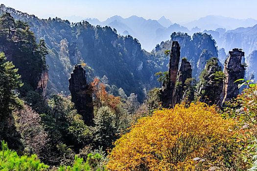 湖南省张家界市武陵源天子山景区自然景观