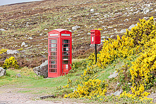 电话亭,邮箱,靠近,苏格兰