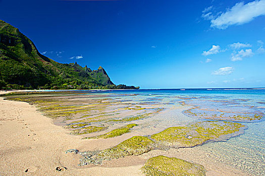 海草,石头,清水,海滩,隧道,考艾岛,夏威夷,美国