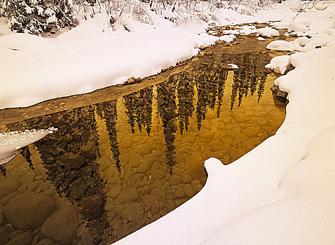 河,碧玉国家公园,艾伯塔省,加拿大