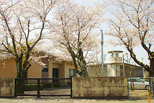 樱花,熊本,监狱