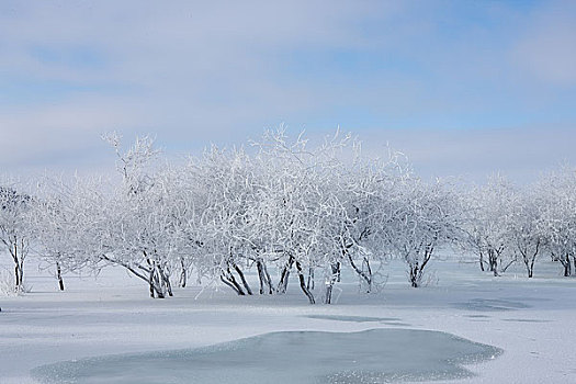 坝上雪景