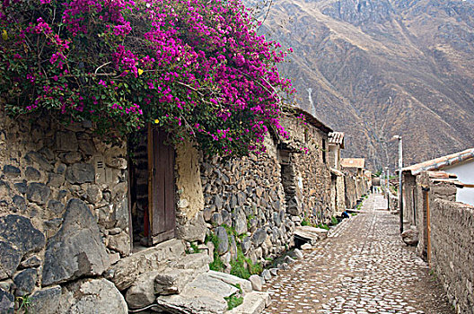秘鲁,欧兰塔坦伯,狭窄,城镇,街道