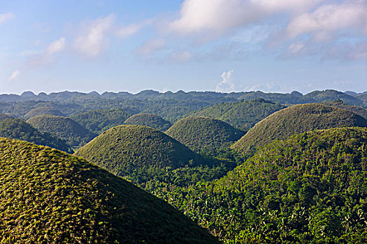 巧克力,山,薄荷岛,菲律宾