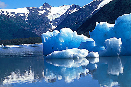 冰山,波蒂奇,冰河,阿拉斯加