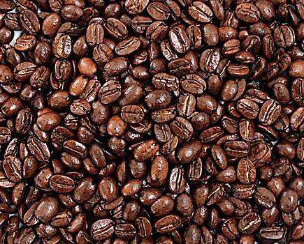 许多,咖啡豆