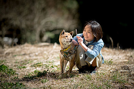 女孩,柴犬