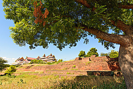 蒲甘,城墙,老,考古博物馆,曼德勒,区域,缅甸
