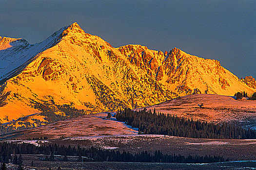 积雪,山峰,天鹅,湖,平整,顶峰,黄石国家公园,怀俄明,美国