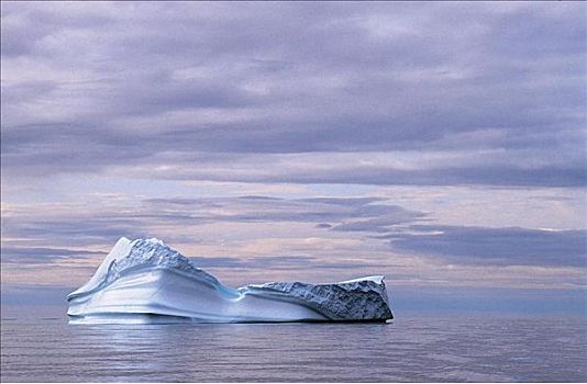 浮冰,水上,迪斯科湾,格陵兰,大西洋,北极