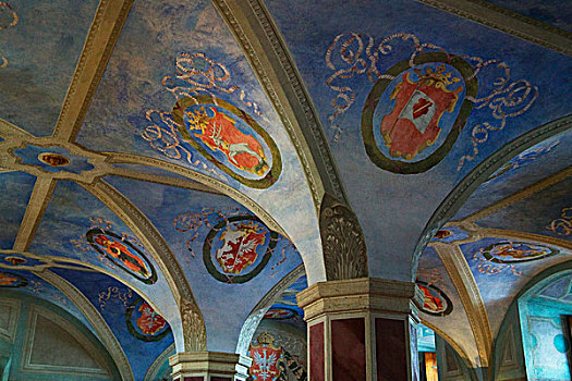 涂绘,拱顶天花板,室内,皇家,城堡,华沙,波兰