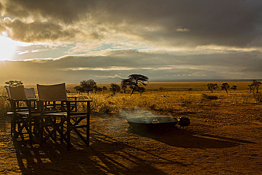 营火,椅子,塔兰吉雷国家公园,坦桑尼亚,非洲