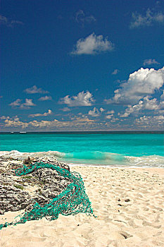 渔网,海滩,底湾,巴巴多斯