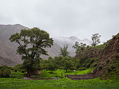 甘肃祁连山风光