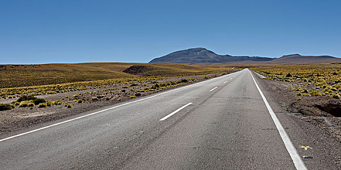 道路,通过,风景,盐湖,阿塔卡马沙漠,佩特罗,省,安托法加斯塔大区,智利