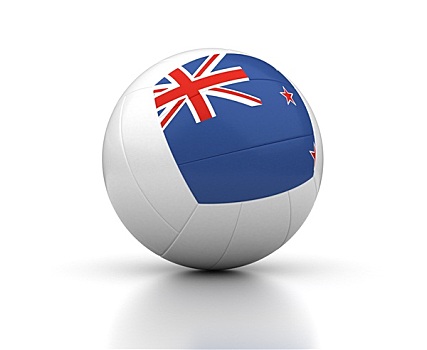 新西兰,排球,团队