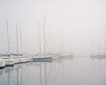 船,港口,雾