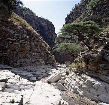 兴趣,岩石构造,峡谷,季节,河,山峦,坦桑尼亚北部