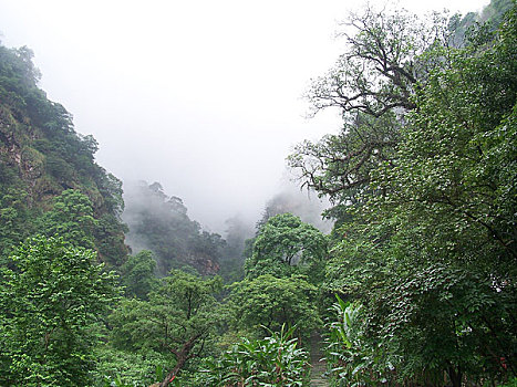 福建南平市茫荡山自然保护区