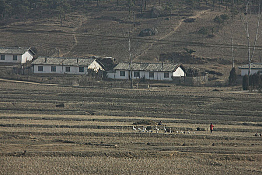 朝鲜传统,民居